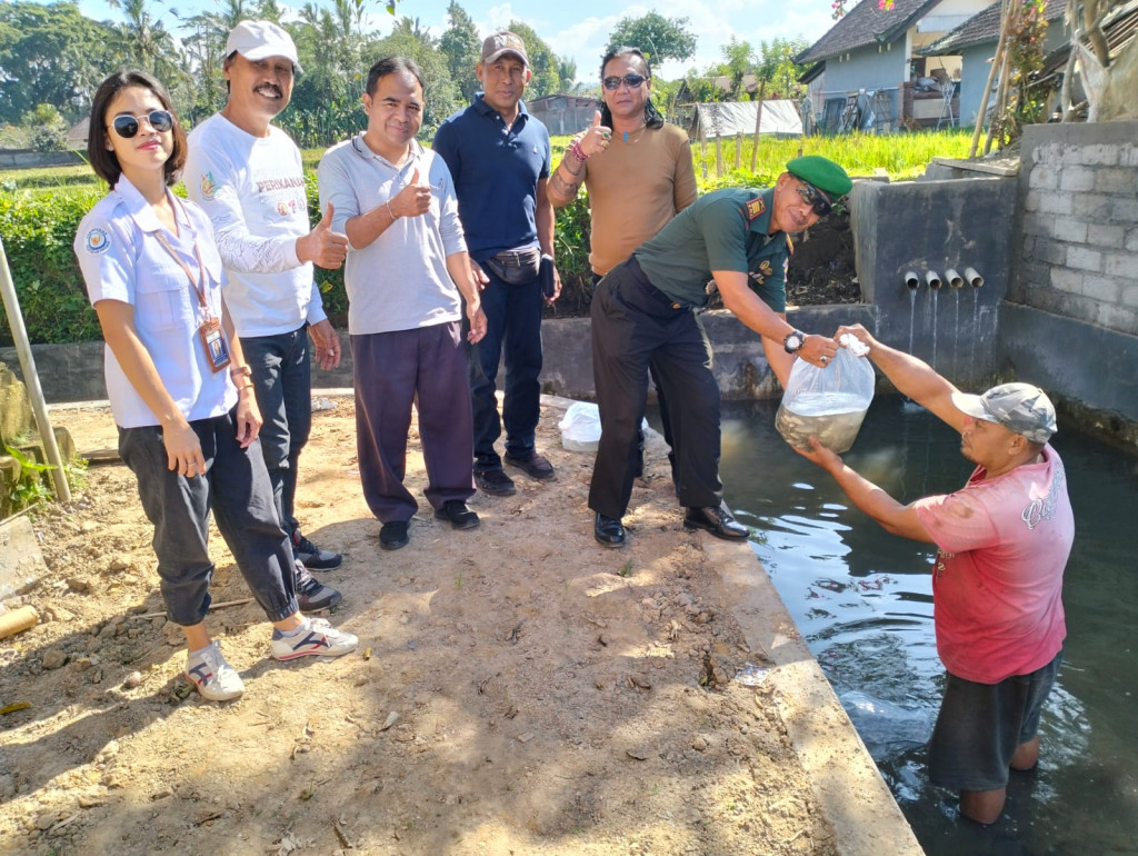 Perbekel Petang Melaksakan Penyebaran Bibit Ikan Bersama Kepala Dinas Perikanan Kabupaten Badung